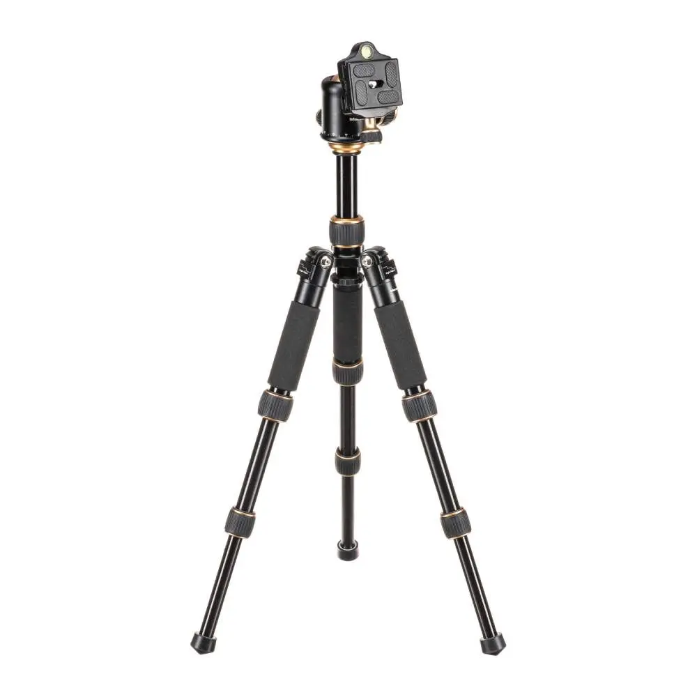 45gtr5g56g56.webp