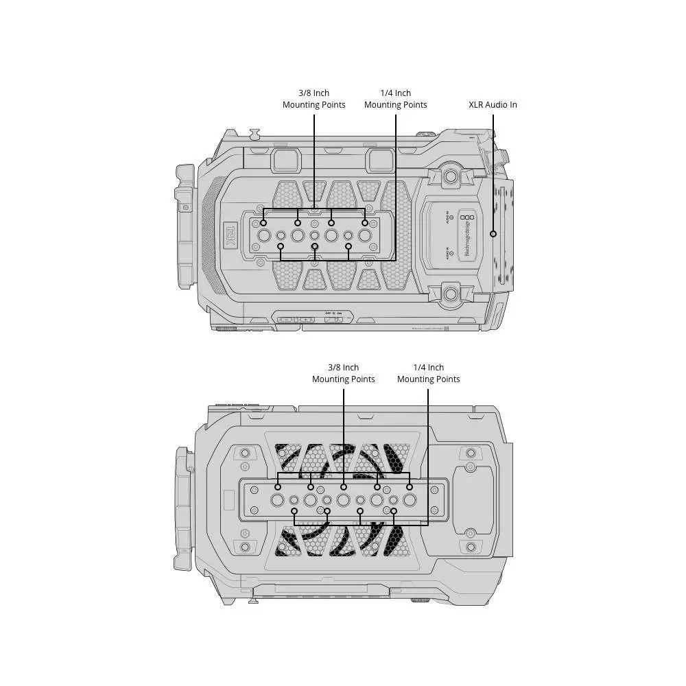 ewgstrft56 (1).webp