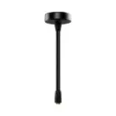 Teradek 6G Flexible H Antenna "Mushroom"