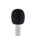Sennheiser MZW 8030